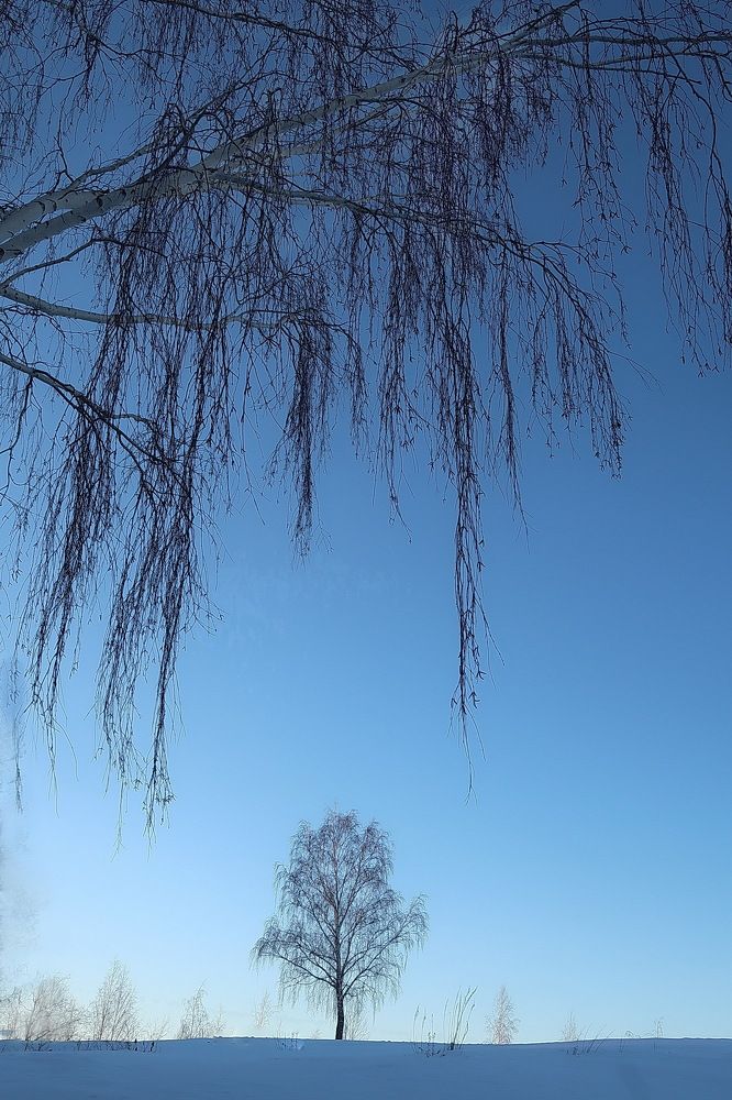 Photograph by Нина