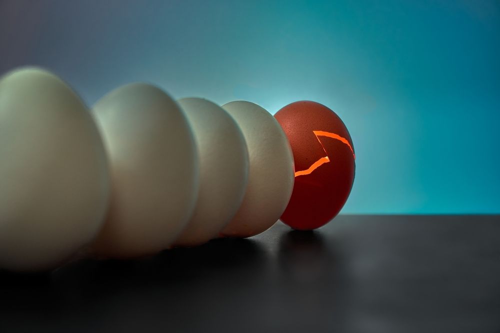 Photograph by Владимир