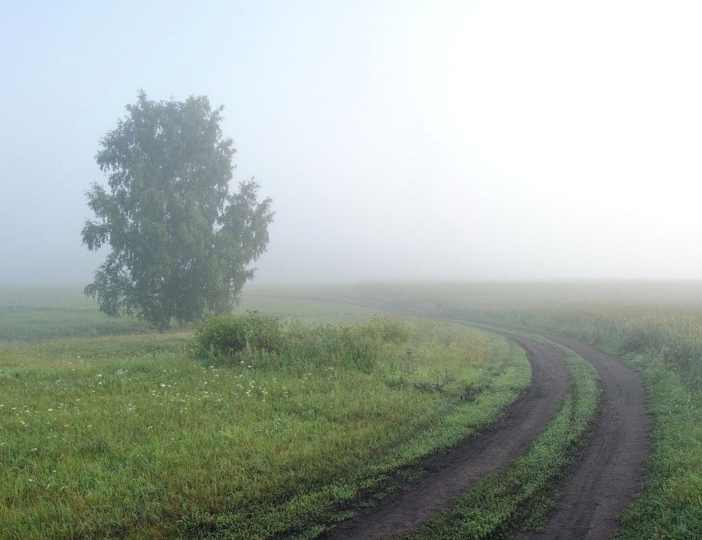 Photograph by Игорь Меньшенин