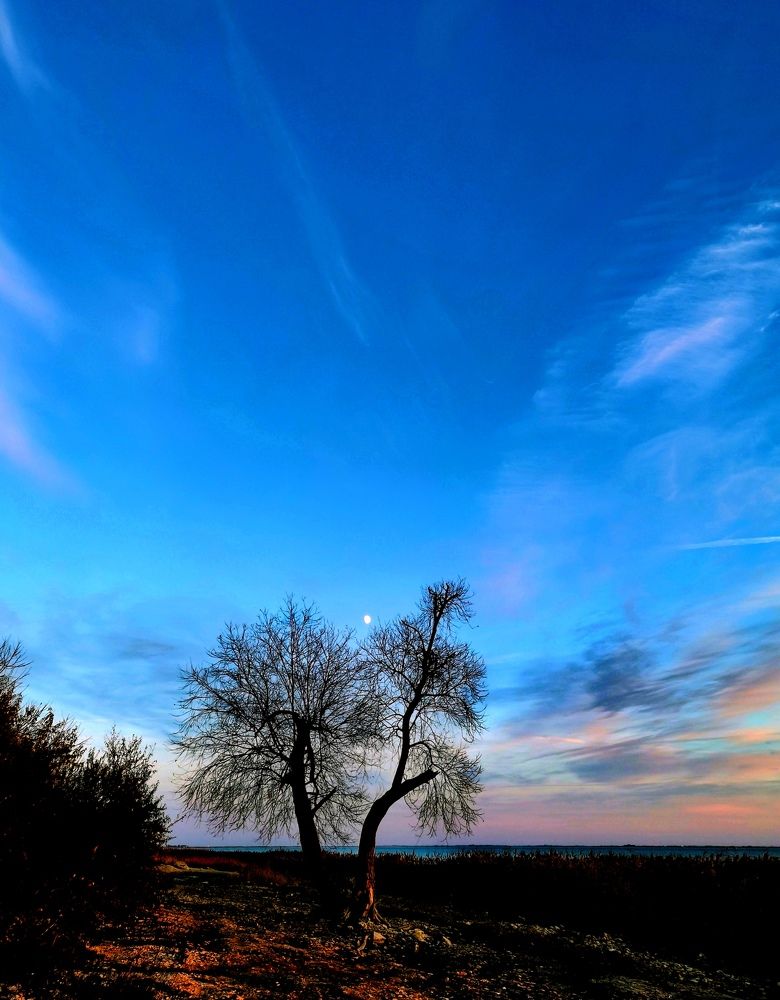 Фотография автора Rafa