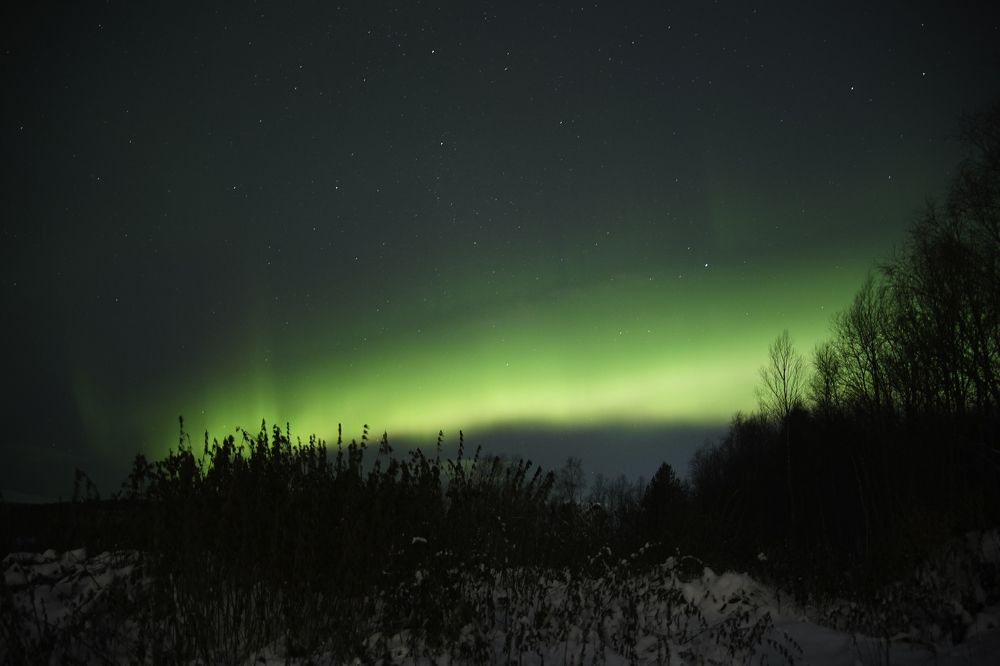 Photograph by Алексей Гнедовский