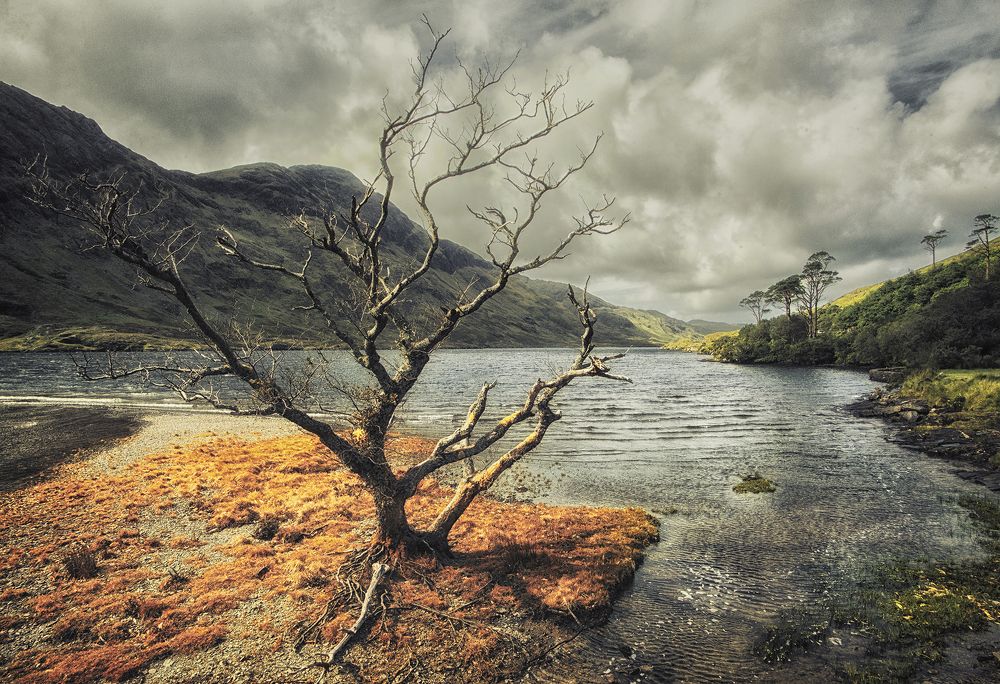 Фотография автора Vasilev Kris