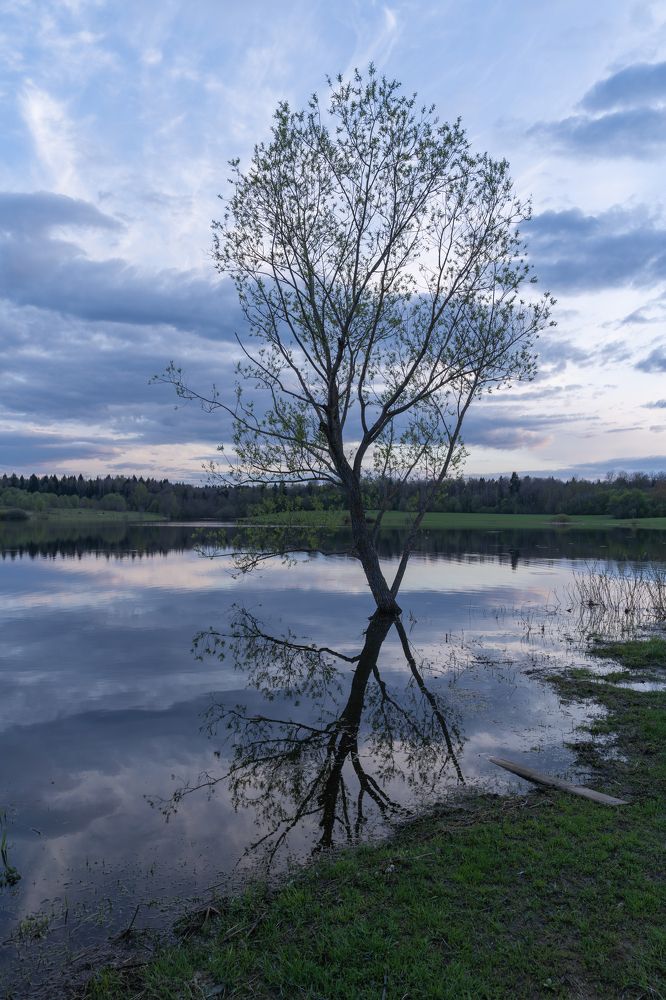 Photograph by Андрей Пучков