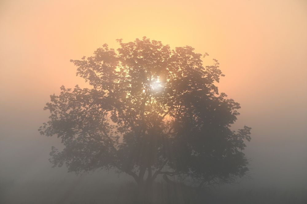 Photograph by Юрий Гау