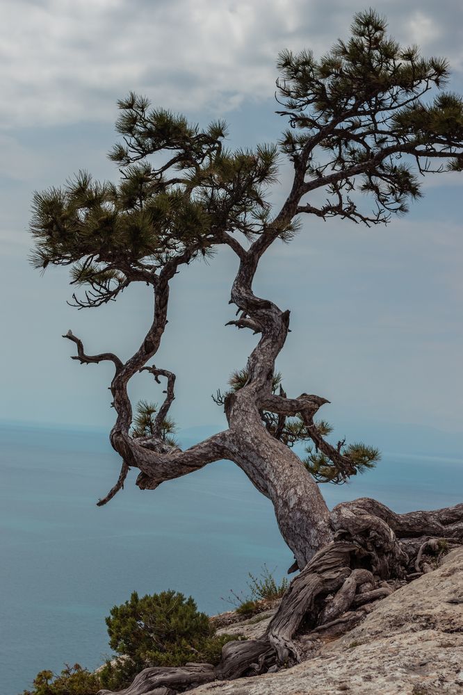 Photograph by Анна Лисина