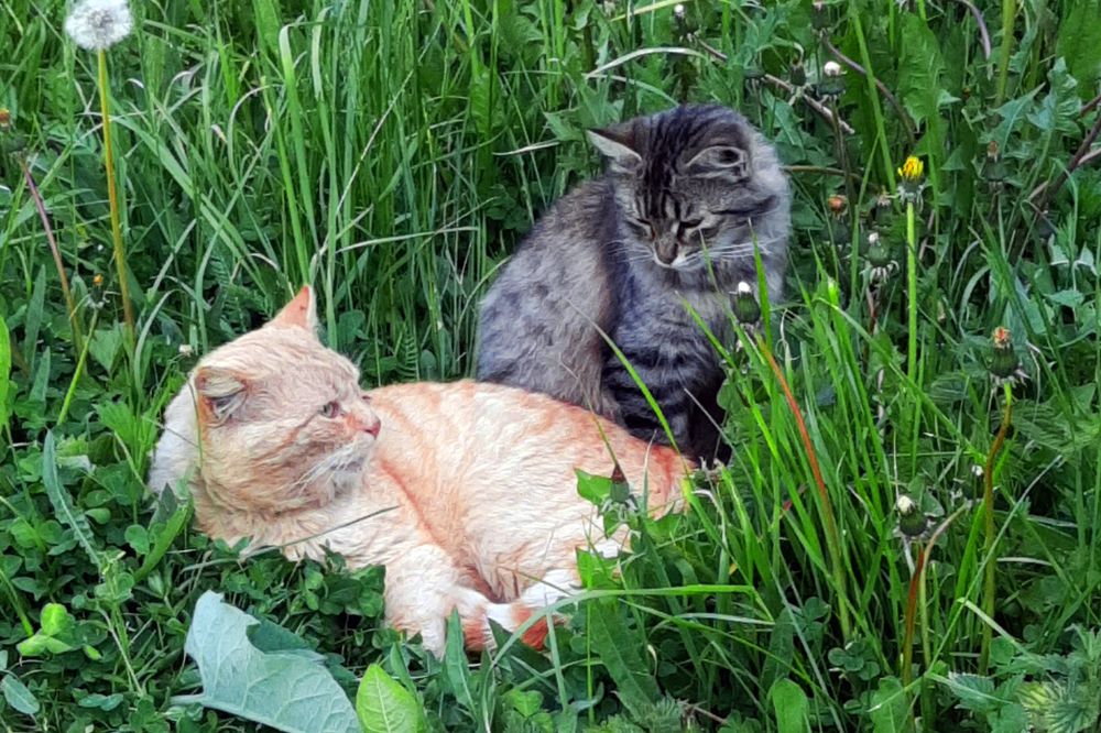 разговоры по душам