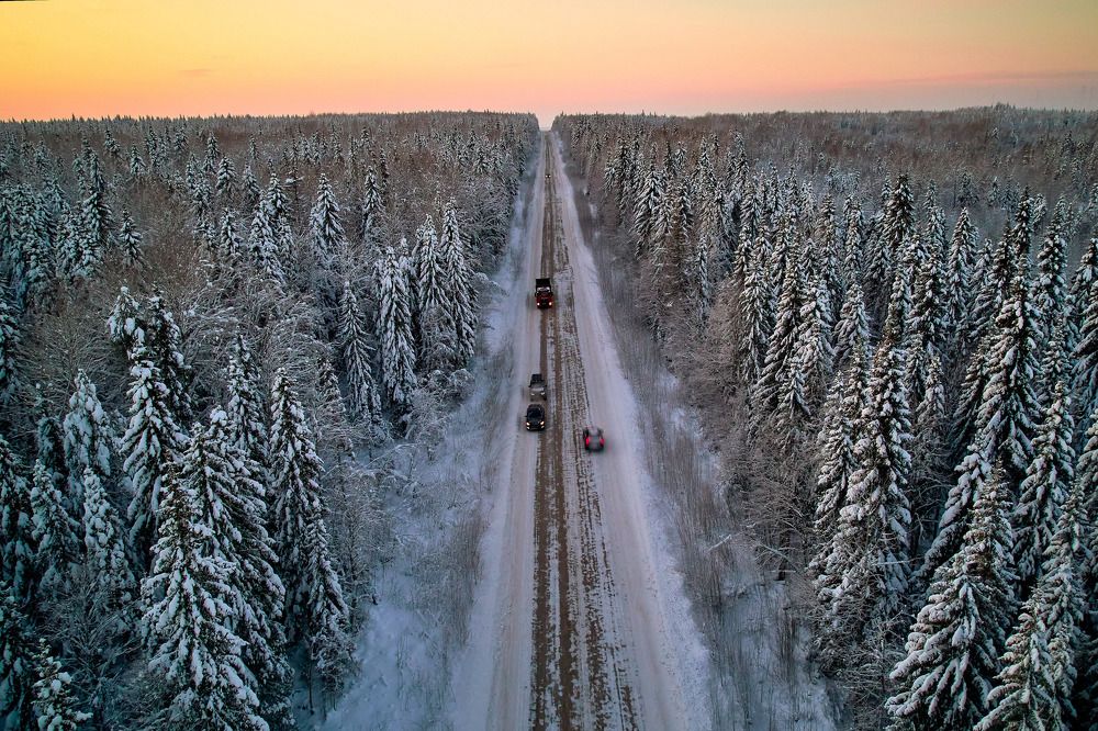 Фотография автора Totoro D