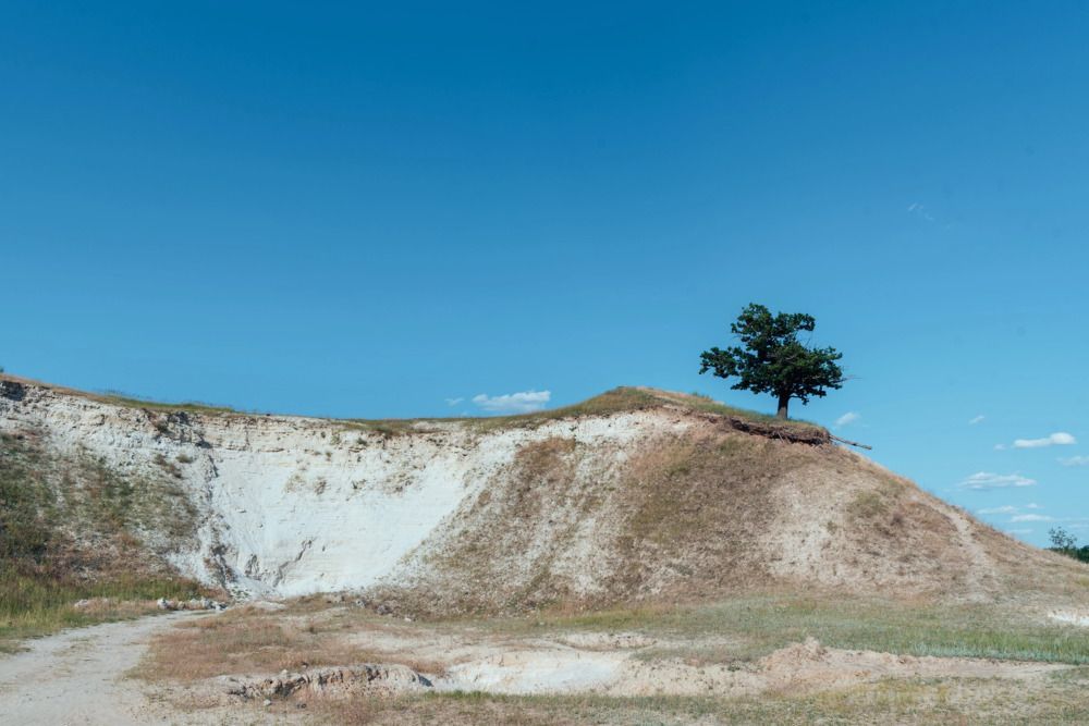 Photograph by Сапронова Марина