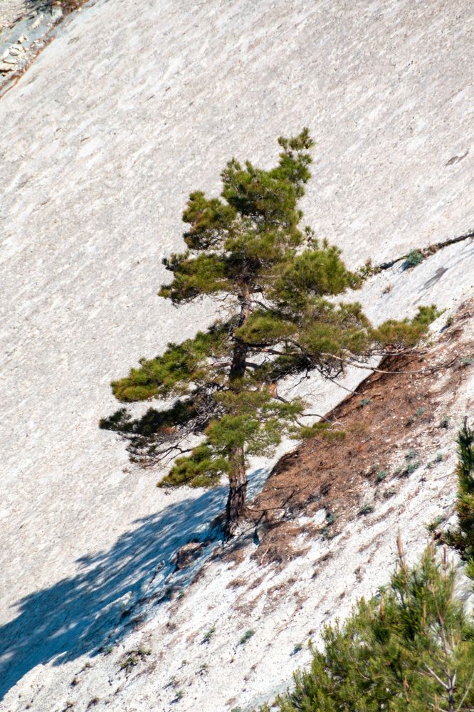 Photograph by Мария Громова