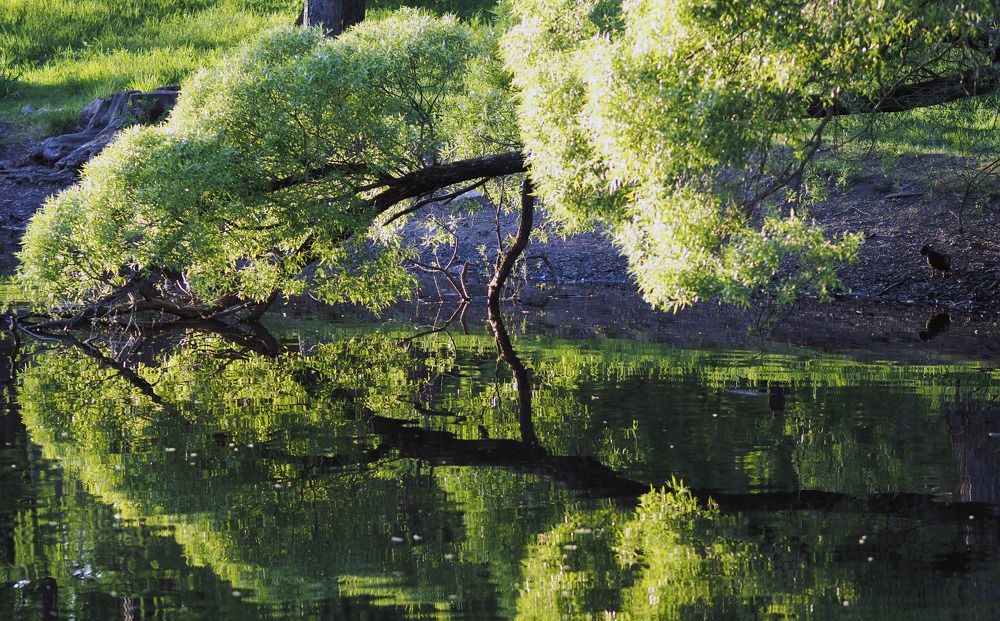 Photograph by Алексей Гнедовский