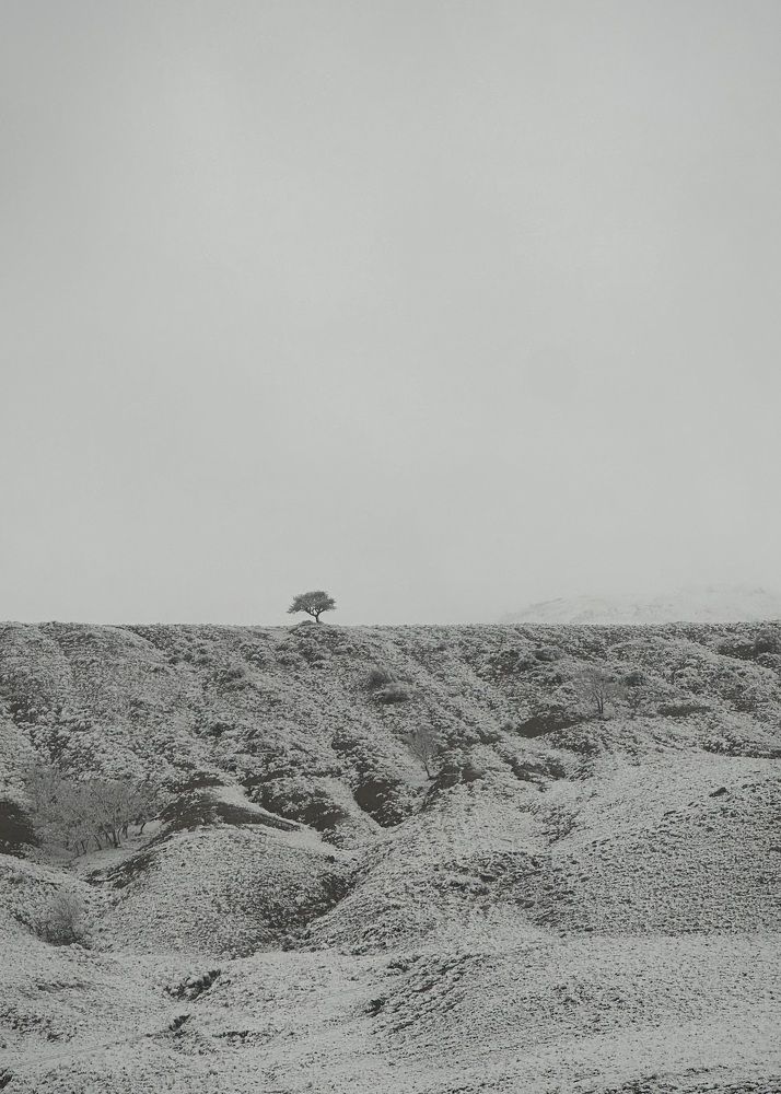 Фотография автора Юлия Косинова