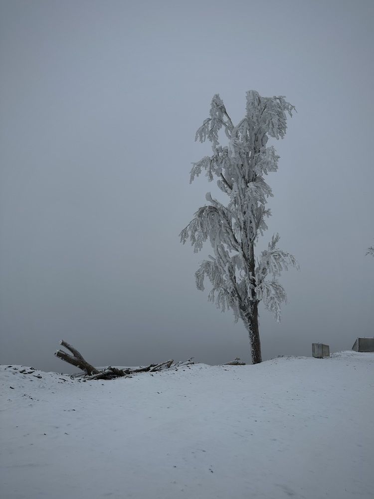 Фотография автора Юлия Косинова
