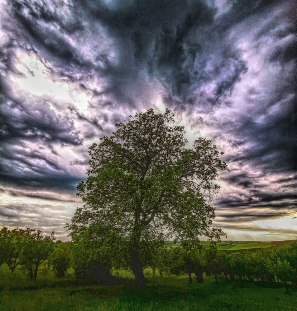 Photograph by Nikolett Mengyi