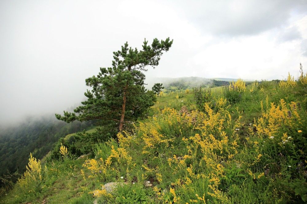 Photograph by Марина Юрченко