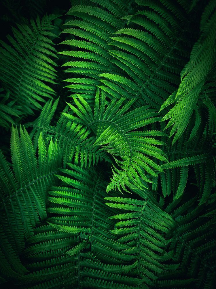 Фотография автора Евгений