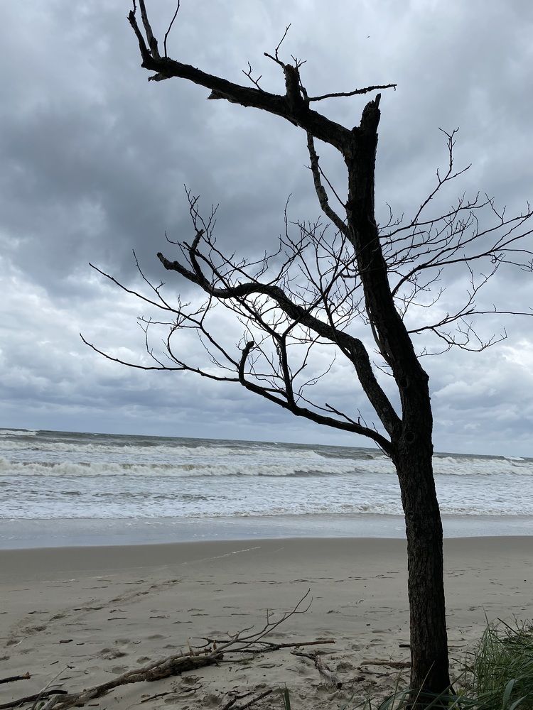 Photograph by Светлана Яковлева