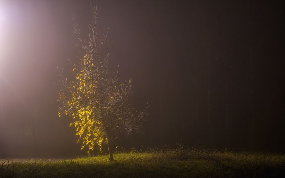 Photograph by Сергей Дишук