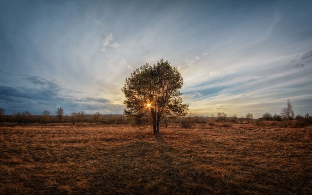 Photograph by Сергей Дишук