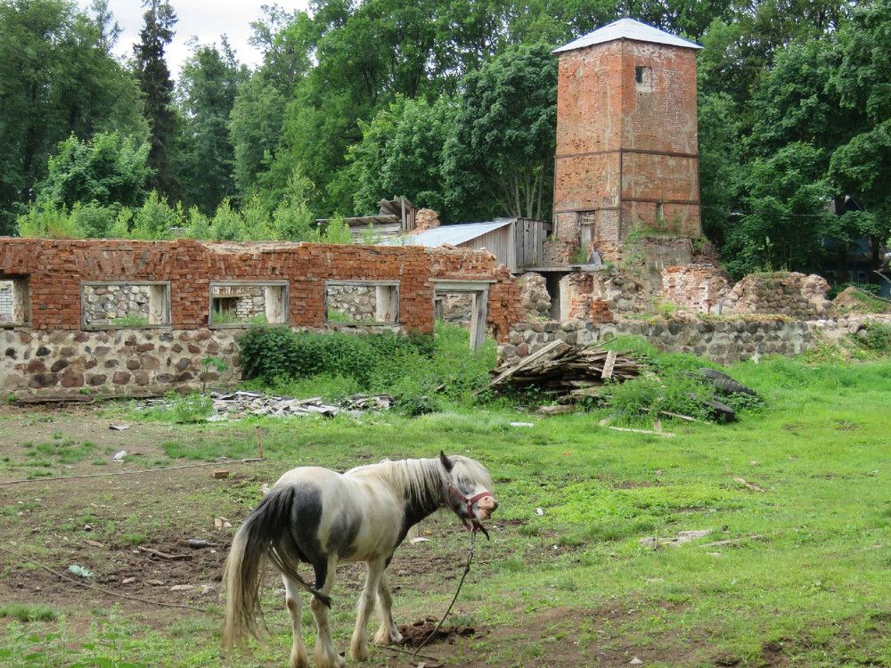 Photograph by Валерия Яскович