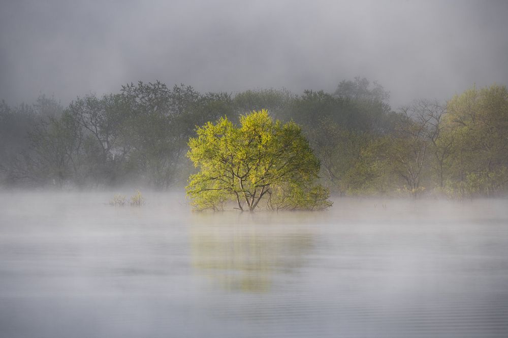 Photograph by Kaneko Atsushi