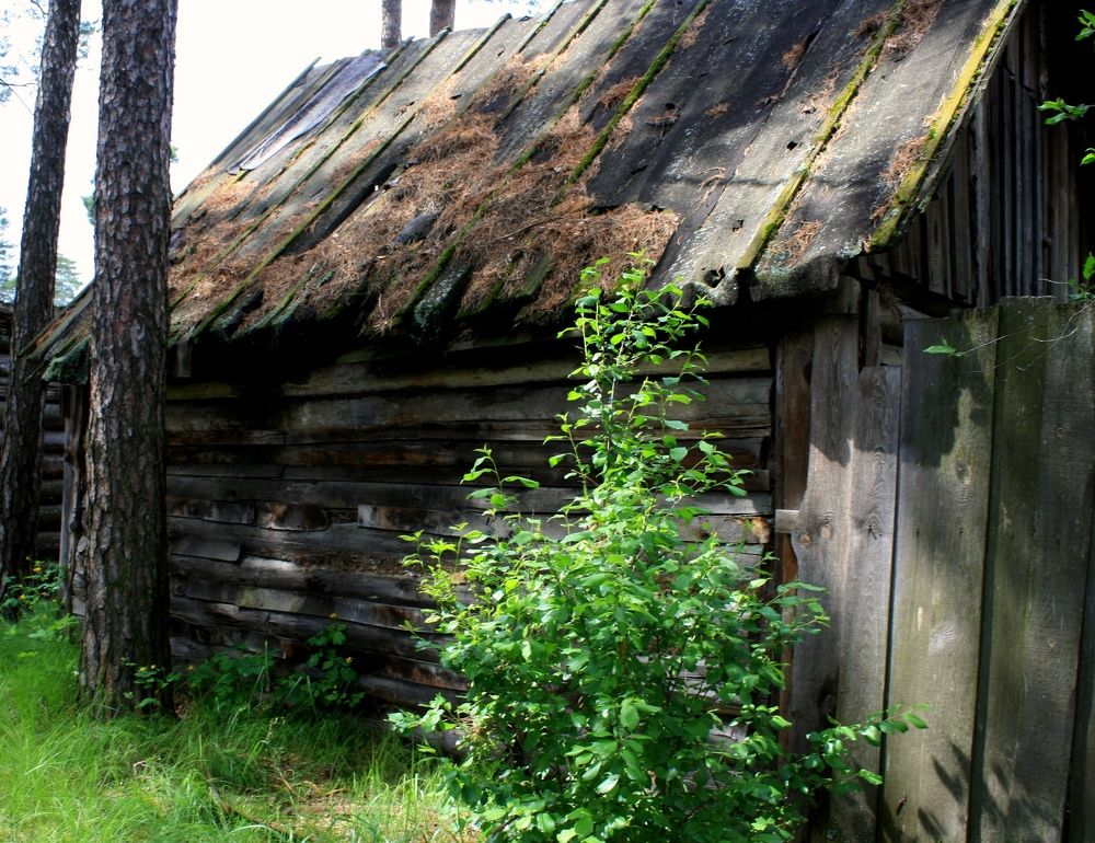 Photograph by Татьяна Кунц