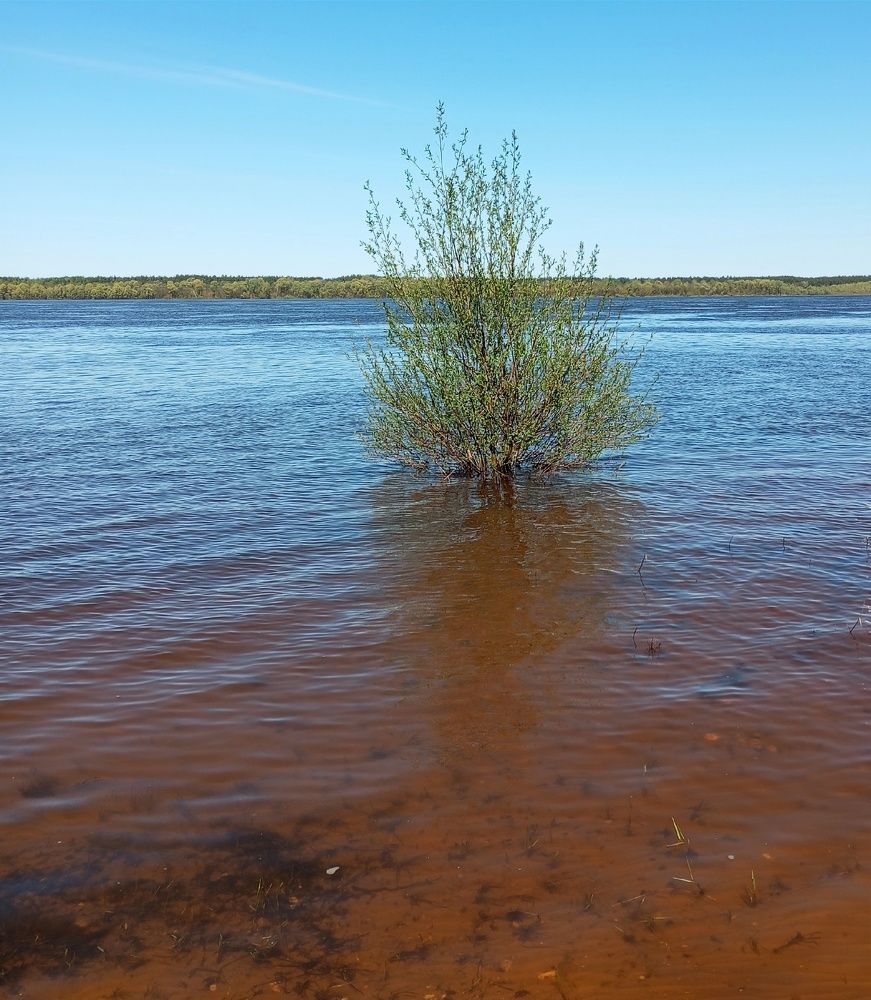 Photograph by Татьяна Кунц