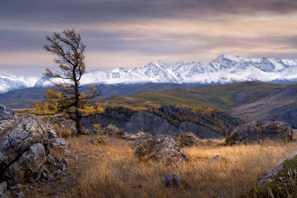 Алтайские мотивы