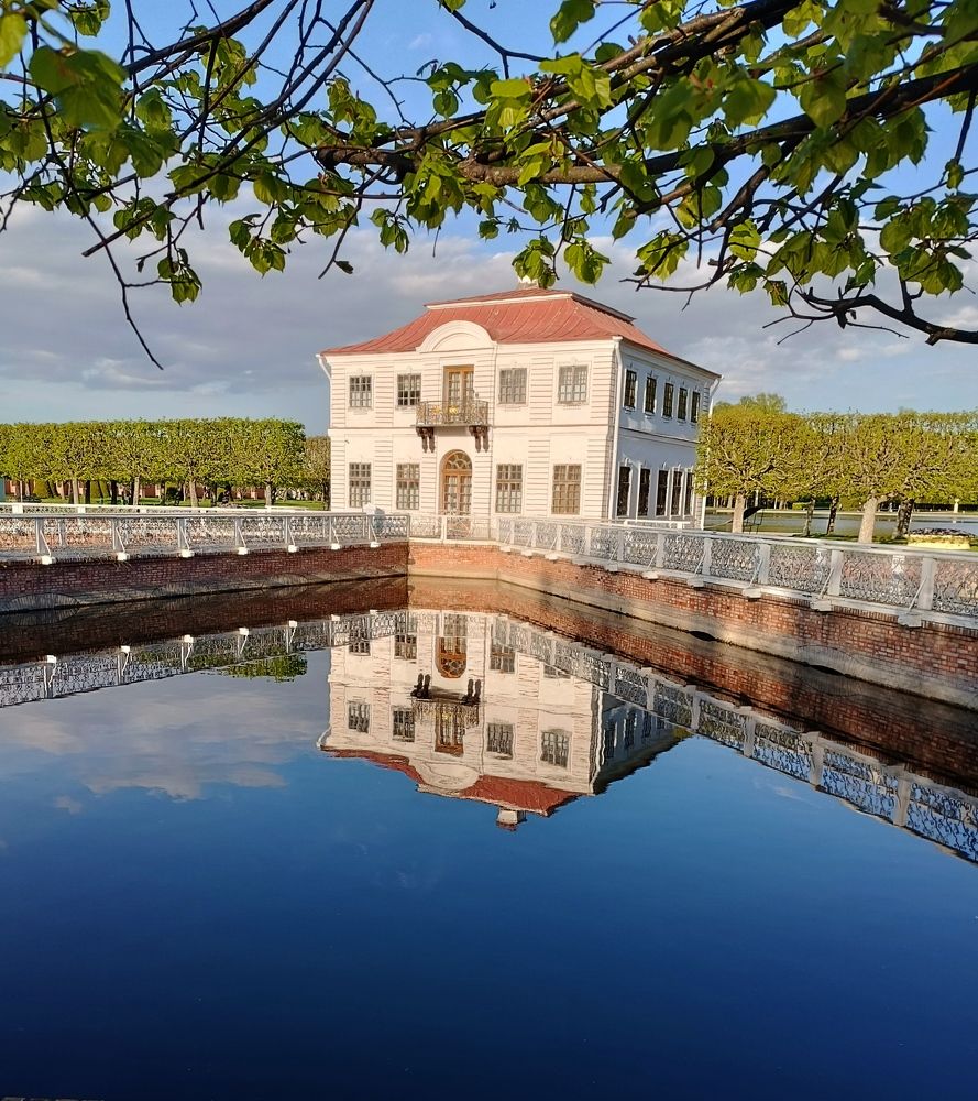 Photograph by Olga Kot