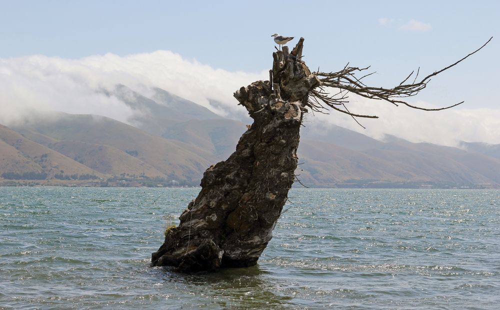 Photograph by Сергей Иванов