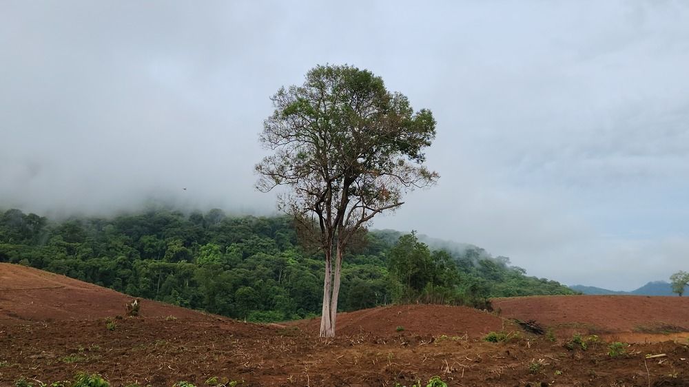 Photograph by Nolito A. Nuñez
