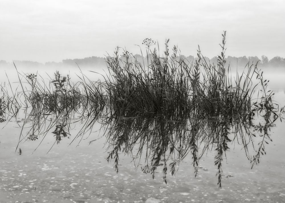 Photograph by Сергей Дишук