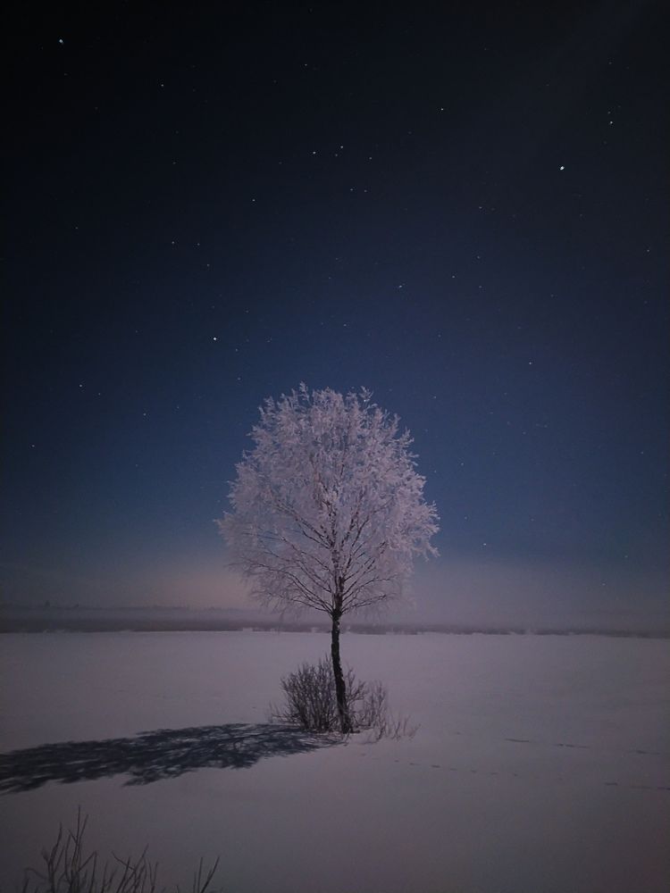 Photograph by Виталий Грачёв