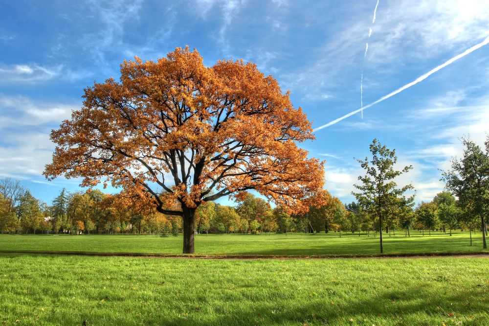 Photograph by Сергей Григорьев