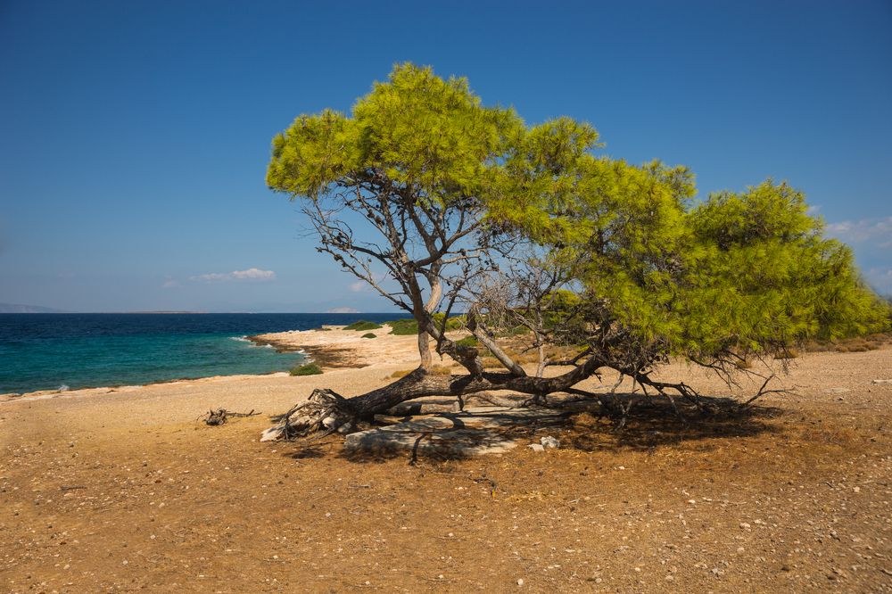 Photograph by Дария Максимова