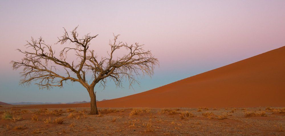 Photograph by Андрей Ведерников