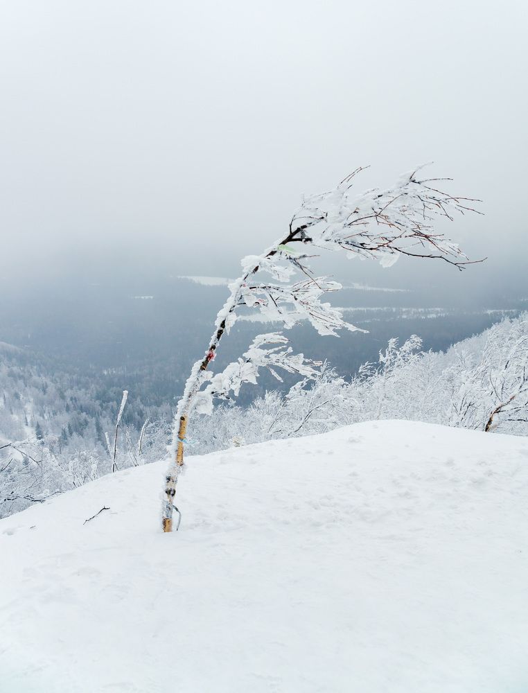 Photograph by Виктор Петров