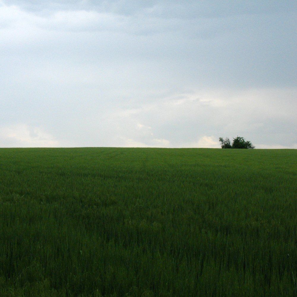 Перед дождем