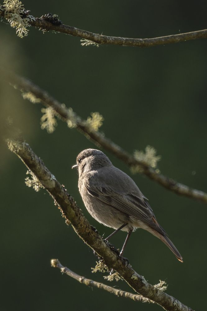 Photograph by Hann Groch