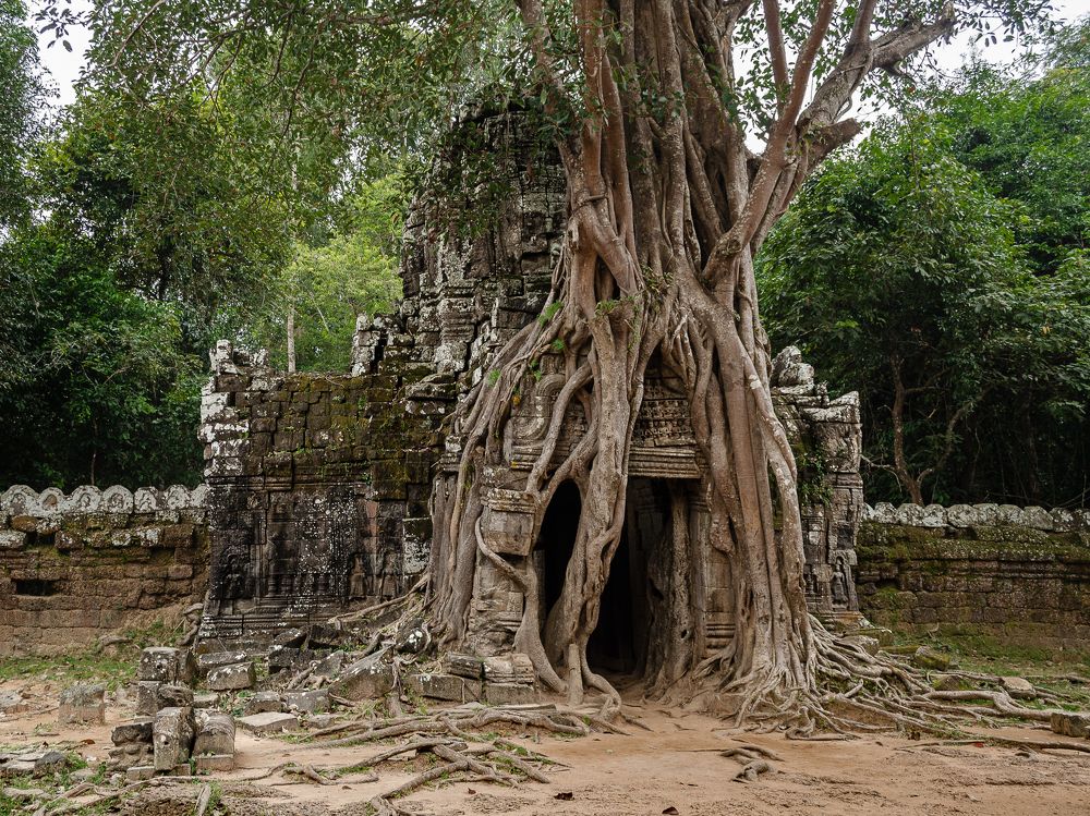 Photograph by Наталья Кокорина