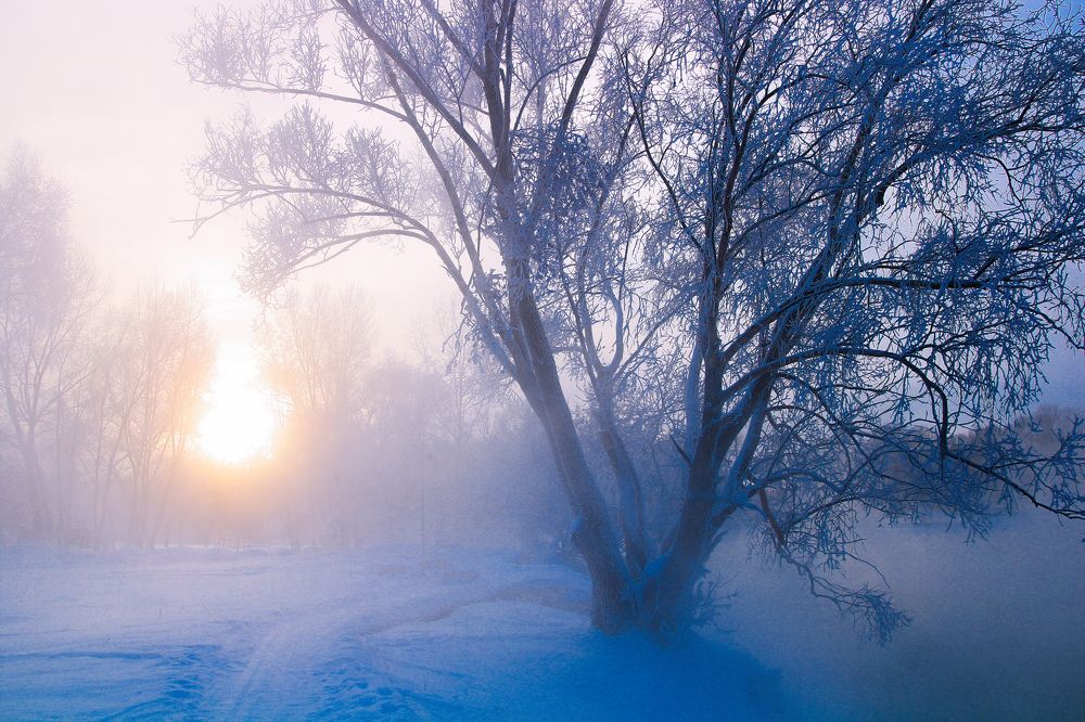 Photograph by Олеся Постнова