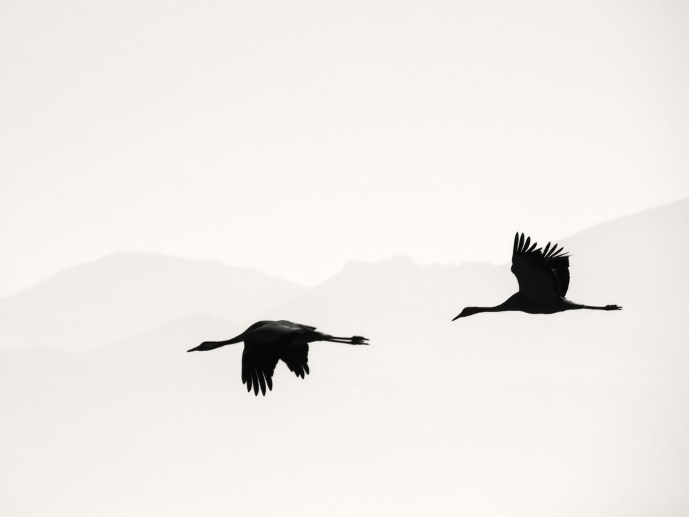 Photograph by Mahnaz Mohsenzadeh Kermani