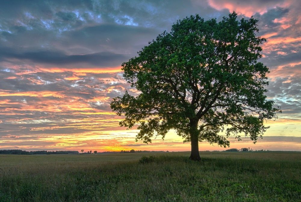 Photograph by Janis Serdienis