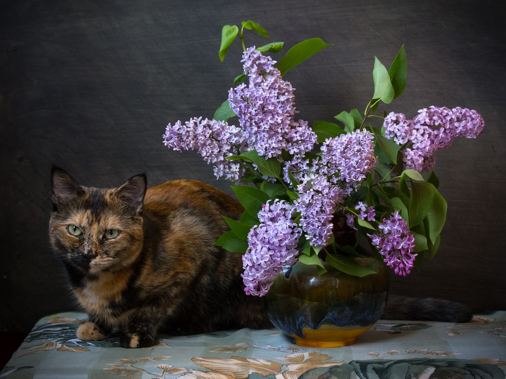 Photograph by Сергей Алексеев