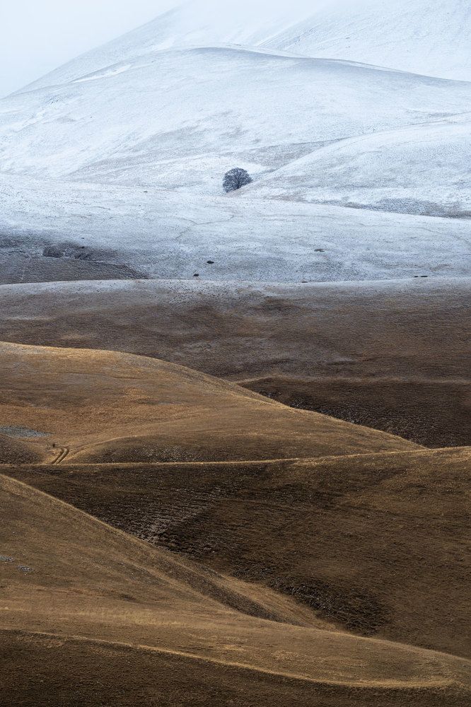 Photograph by Stefano Gelli