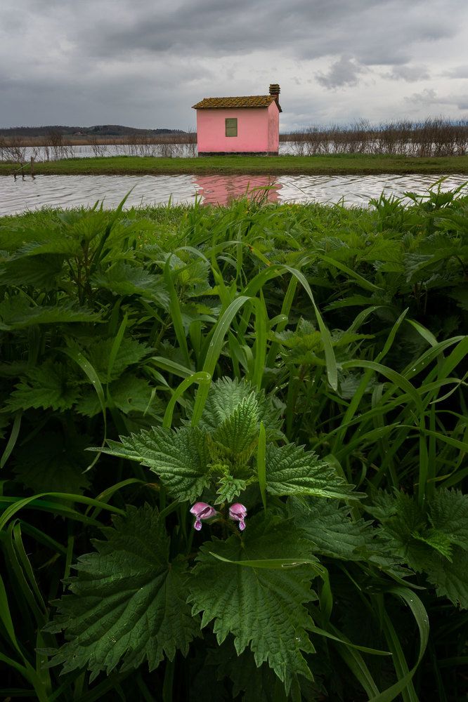 Photograph by Stefano Gelli