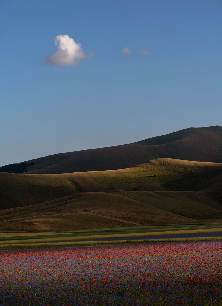 Photograph by Stefano Gelli