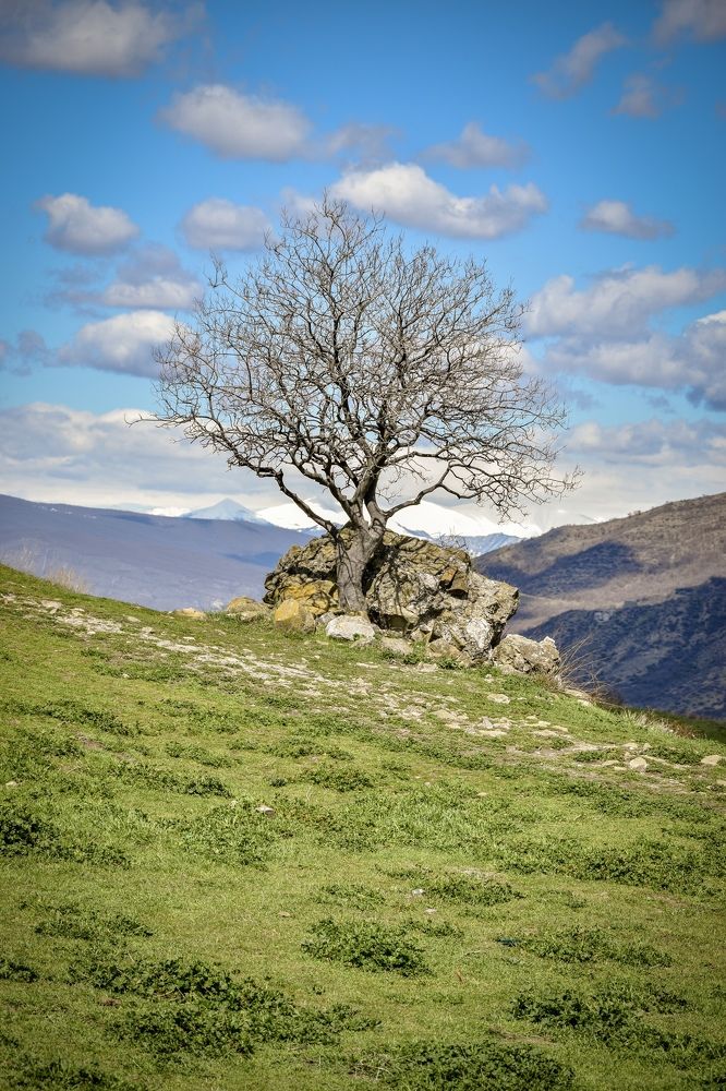 Photograph by Ольга Семина