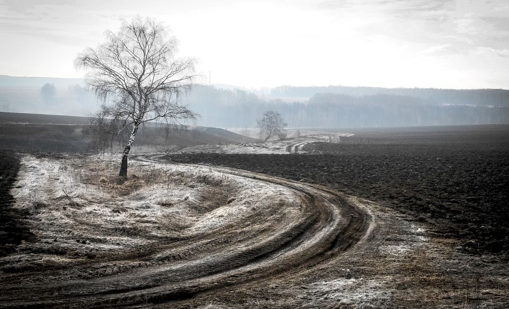 Photograph by Вячеслав Лычков