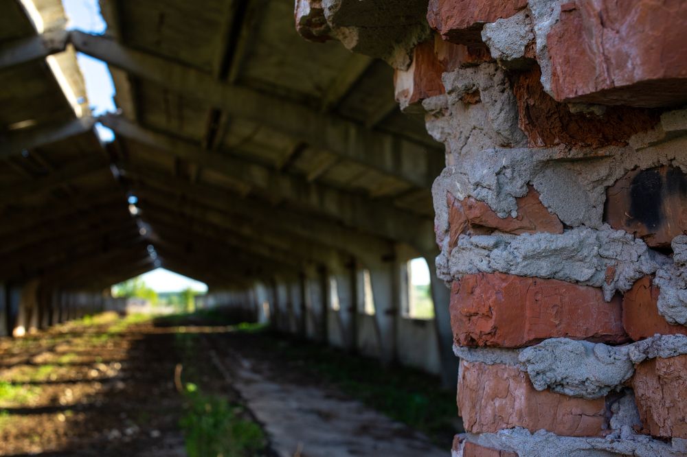 Photograph by Алексей Тихонов