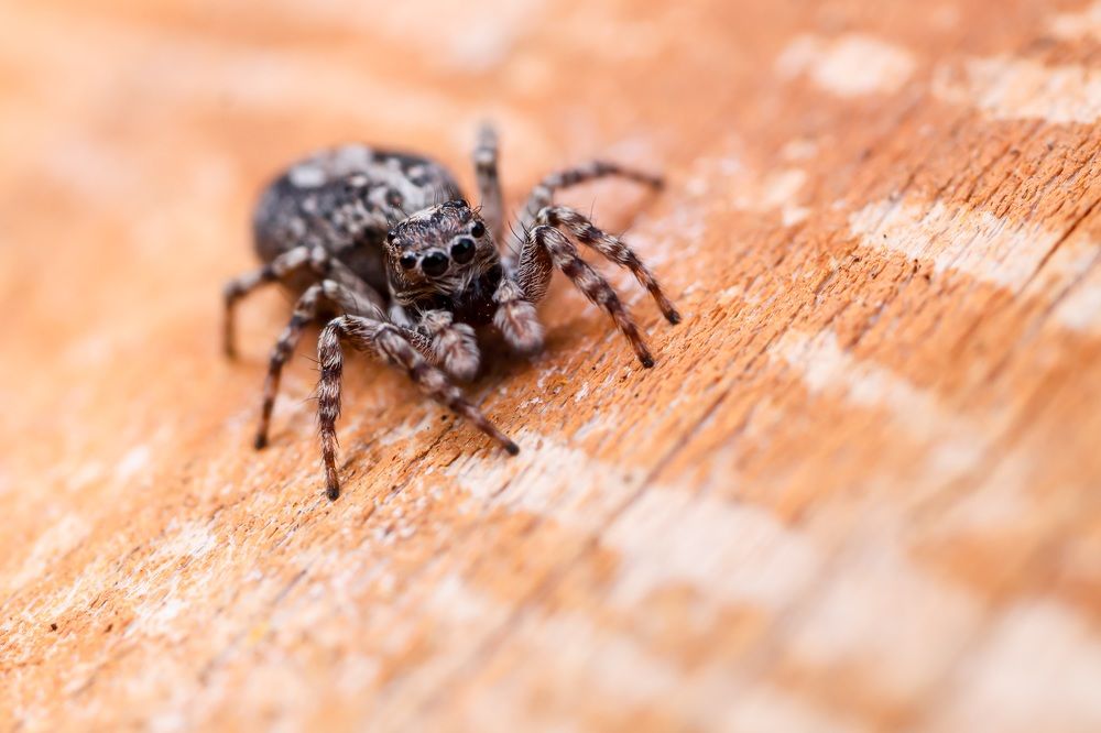 Photograph by Сергей Назаредский